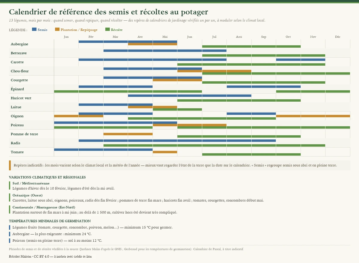 Calendrier de référence des semis et récoltes au potager pour treize légumes (aubergine, betterave, carotte, chou-fleur, courgette, épinard, haricot vert, laitue, oignon, poireau, pomme de terre, radis, tomate), mois par mois de janvier à décembre. Chaque ligne montre trois périodes en couleur : le semis (sous abri ou en pleine terre), la plantation ou le repiquage, et la récolte. Par exemple, la tomate se sème de janvier à avril et se récolte de juillet à octobre ; la carotte se sème de février à juillet (plus un semis d'automne) et se récolte de juin à novembre ; le poireau se récolte presque toute l'année selon la variété. Le tableau rappelle aussi les variations selon les zones climatiques (Sud méditerranéen, Ouest océanique, Est-Nord continental et montagneux) et les températures minimales de germination (15 °C pour les légumes-fruits, 24 °C pour l'aubergine, 12 °C de sol pour le poireau). Repères indicatifs qui varient selon le climat local et la météo de l'année.